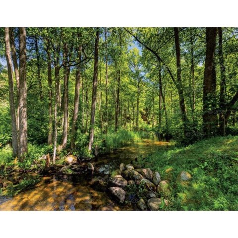 Kalendarz ścienny 13-planszowe 320mm x 470mm Lucrum (RW04)