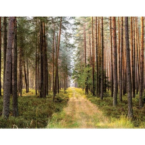 Kalendarz ścienny 13-planszowe 320mm x 470mm Lucrum (RW04)