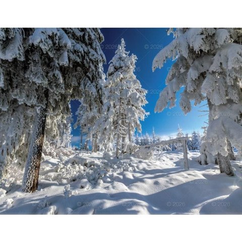 Kalendarz ścienny 13-planszowe 320mm x 470mm Lucrum (RW04)