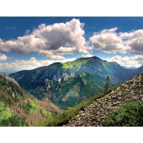 Kalendarz ścienny PEJZAŻE POLSKIE 13-planszowe 320mm x 470mm Lucrum (RW01)