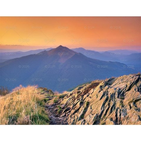 Kalendarz ścienny PEJZAŻE POLSKIE 13-planszowe 320mm x 470mm Lucrum (RW01)