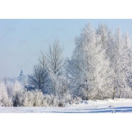 Kalendarz ścienny Pejzaże Polski rodzinny 2023 280mm x 200mm Lucrum (WL03)