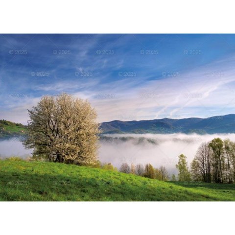 Kalendarz ścienny Pejzaże Polski rodzinny 2023 280mm x 200mm Lucrum (WL03)