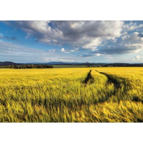 Kalendarz ścienny Pejzaże Polski rodzinny 2023 280mm x 200mm Lucrum (WL03)