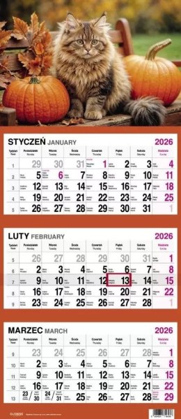 Kalendarz ścienny PALMY 310mm x 790mm Press