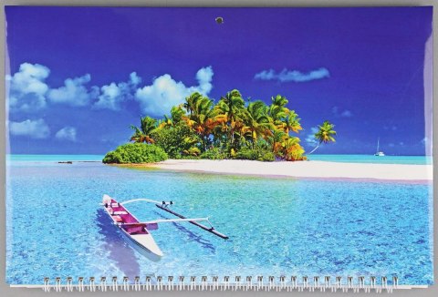 Kalendarz ścienny ścienne 210mm x 320mm Darrieus