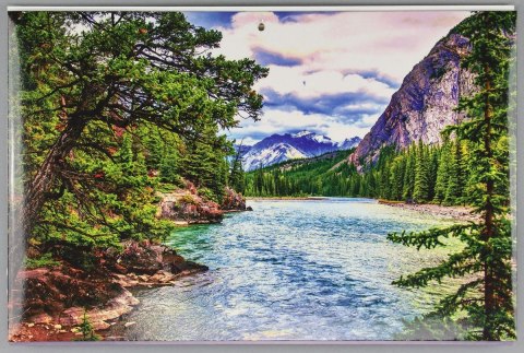 Kalendarz ścienny ścienne Darrieus