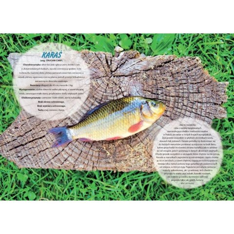 Kalendarz ścienny wędkarski rodzinny 280mm x 200mm Lucrum (WL14)