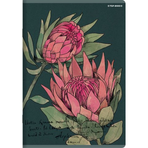 Zeszyt A4 FLOWERS 60k. 70g krata Top 2000 (400169430)