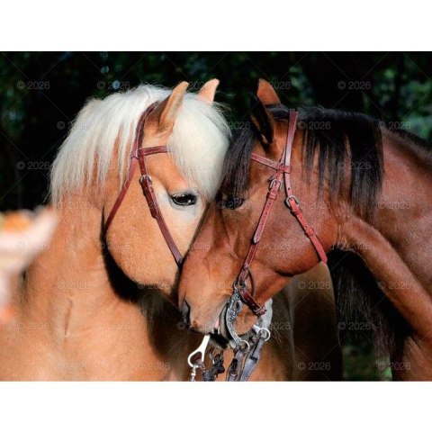 Kalendarz ścienny 13-planszowe 320mm x 470mm Lucrum (RW14)