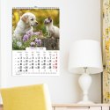 Kalendarz ścienny 16 stron wieloplanszowy A3 Press (kociaki i szczeniaki)