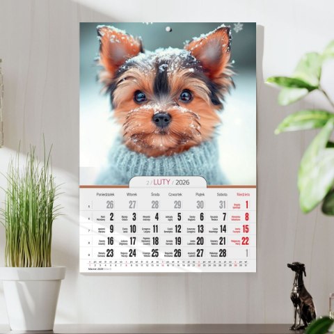 Kalendarz ścienny A4 MILUSIŃSCY A4 Press (5904830713473)