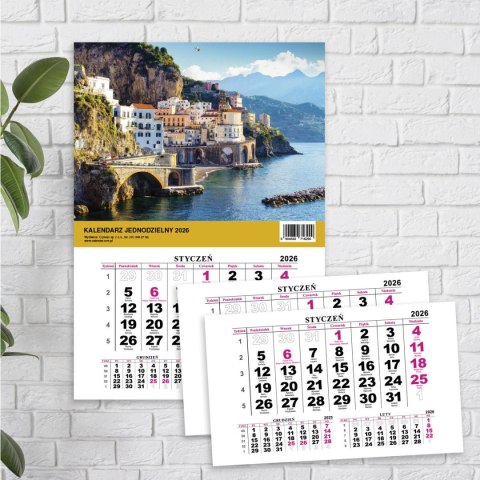 Kalendarz ścienny JEDNODZIELNY WIDOK A4 210mm x 295mm Press