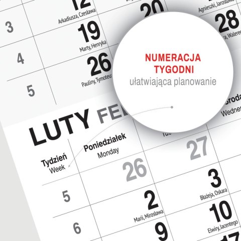 Kalendarz ścienny KAWA 310mm x 790mm Press