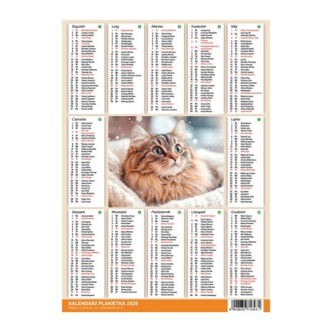 Kalendarz ścienny MIX 250mm x 353mm Press