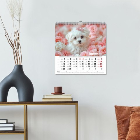 Kalendarz ścienny Przyjaciele 33x33 330mm x 330mm Press