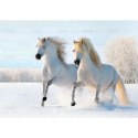 Kalendarz ścienny konie w plenerze rodzinny 280mm x 200mm Lucrum (WL10)