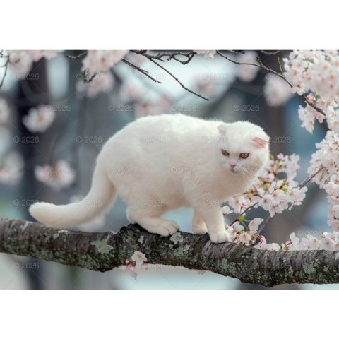 Kalendarz ścienny koty i kotki rodzinny 280mm x 200mm Lucrum (WL09)