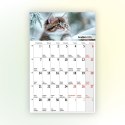 Kalendarz ścienny na lodówkę z magnesem 137mm x 210mm Press (MILUSIŃSCY)