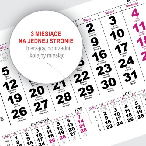 Kalendarz ścienny na lodówkę z magnesem 137mm x 210mm Press (MILUSIŃSCY)