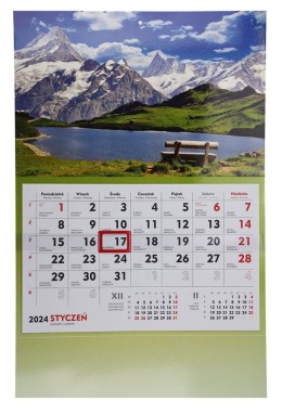 Kalendarz ścienny terminarz ścienny 310mm x 482mm Michalczyk i Prokop (T-107S-4)