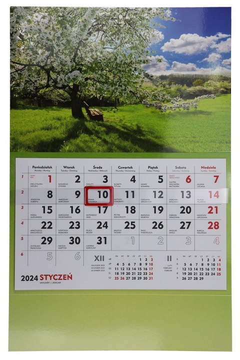 Kalendarz ścienny terminarz ścienny 310mm x 482mm Michalczyk i Prokop (T-107S-6)