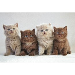 Kalendarz ścienny trójdzielny 855mm x 315mm Michalczyk i Prokop (T-105T-10)