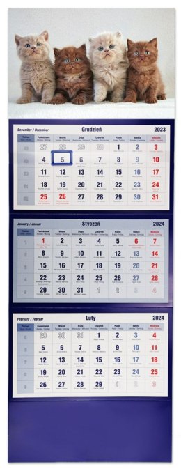 Kalendarz ścienny trójdzielny 855mm x 315mm Michalczyk i Prokop (T-105T-10)