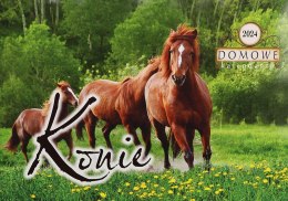 Kalendarz ścienny wieloplanszowy 200mm x 280mm Michalczyk i Prokop (TW-10-6)