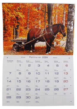 Kalendarz ścienny wieloplanszowy 200mm x 280mm Michalczyk i Prokop (TW-10-6)