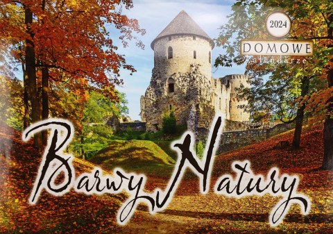 Kalendarz ścienny wieloplanszowy 200mm x 285mm Michalczyk i Prokop (TW-10-5)