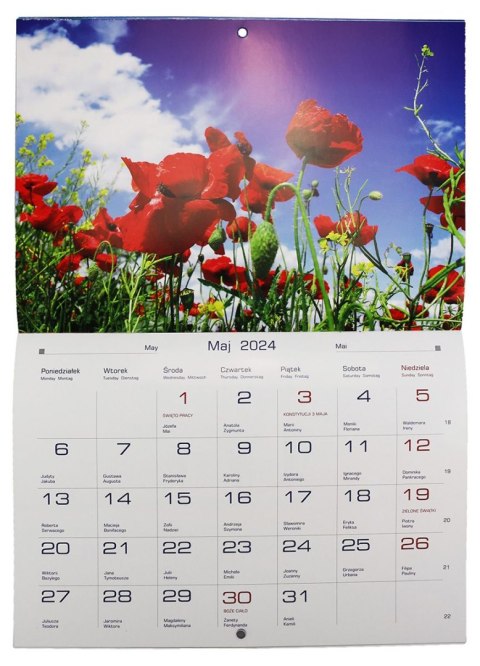 Kalendarz ścienny wieloplanszowy 200mm x 285mm Michalczyk i Prokop (TW-10-5)
