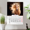Kalendarz ścienny A4 KONIE A4 Press (5904830713398)