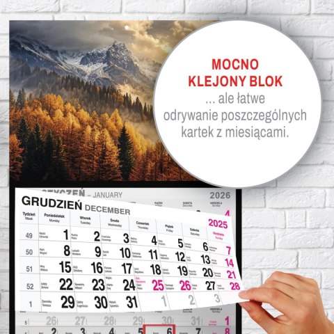 Kalendarz ścienny GÓRY A5 250mm x 450mm Press