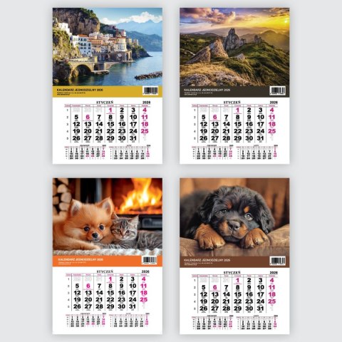 Kalendarz ścienny JEDNODZIELNY GÓRY A4 210mm x 295mm Press