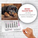 Kalendarz ścienny JEDNODZIELNY PIES A4 210mm x 295mm Press