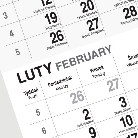 Kalendarz ścienny KOT 310mm x 790mm Press