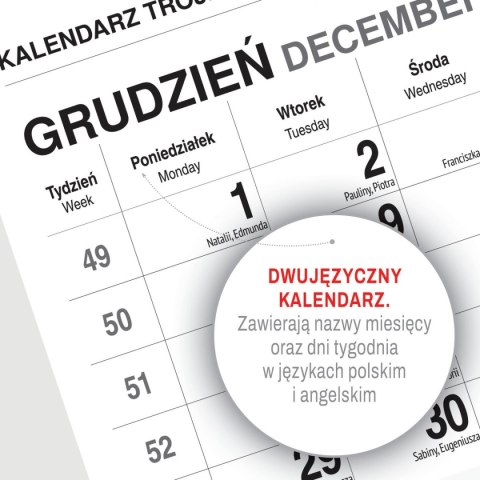 Kalendarz ścienny KOT 310mm x 790mm Press