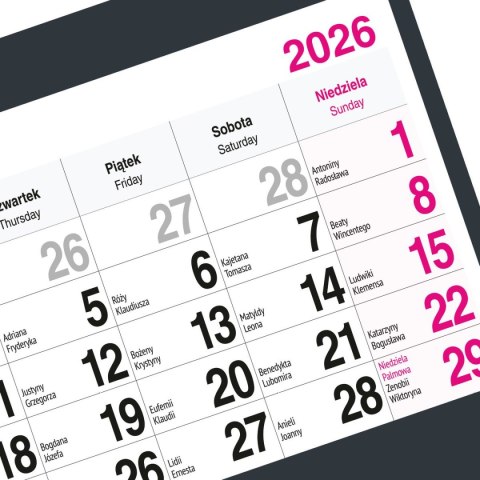 Kalendarz ścienny KOT A5 210mm x 450mm Press