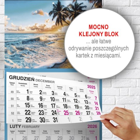 Kalendarz ścienny PALMY 310mm x 790mm Press