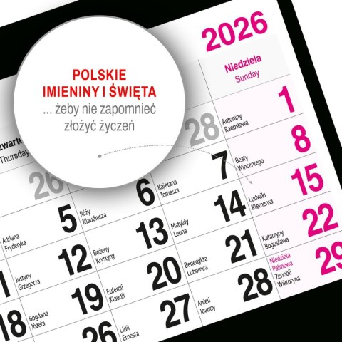 Kalendarz ścienny PIES 310mm x 790mm Press