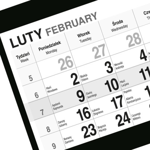 Kalendarz ścienny PIES 310mm x 790mm Press