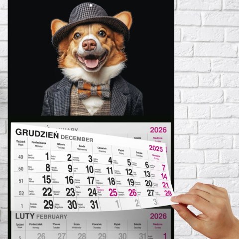 Kalendarz ścienny PIES 310mm x 790mm Press