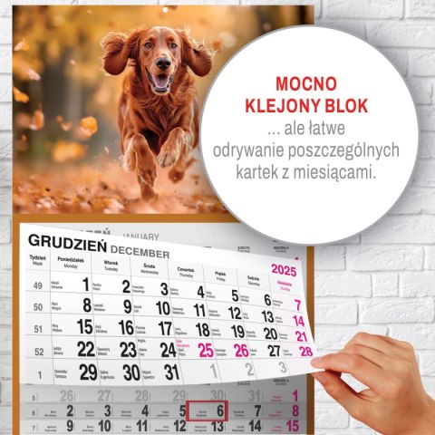 Kalendarz ścienny PIES A5 210mm x 450mm Press