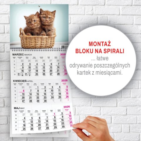 Kalendarz ścienny KOT 310mm x 790mm Press