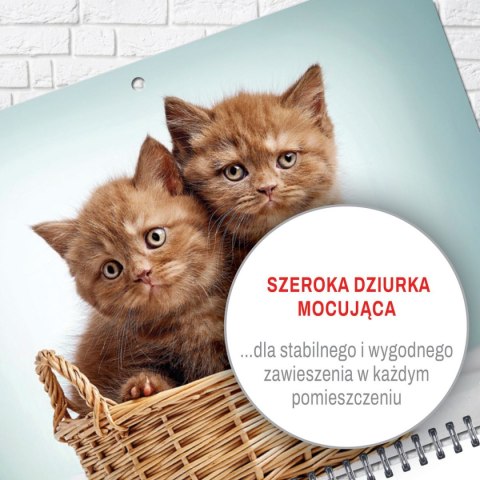 Kalendarz ścienny KOT 310mm x 790mm Press