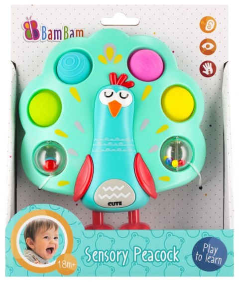 Zabawka edukacyjna sensoryczny paw Bam Bam (568985)