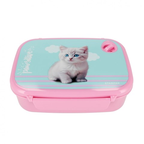 Śniadaniówka kitty Starpak (558657)