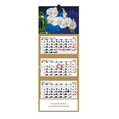Kalendarz ścienny Orchidea TRÓJDZIELNY Jotan (T45)