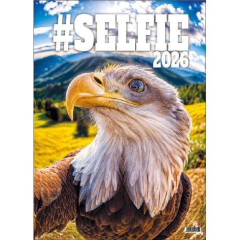 Kalendarz ścienny SELFIE 13-KARTKOWY A3+ Jotan (WP135)